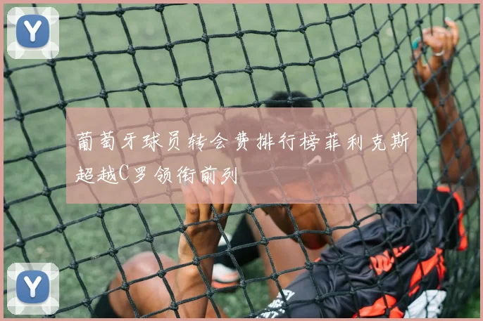 葡萄牙球员转会费排行榜菲利克斯超越C罗领衔前列